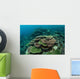 Healthy Reef-building Corals Thrive Wall Decal Design 4