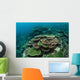 Healthy Reef-building Corals Thrive Wall Decal Design 4