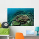 Healthy Reef-building Corals Thrive Wall Decal Design 4