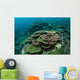 Healthy Reef-building Corals Thrive Wall Decal Design 4