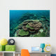 Healthy Reef-building Corals Thrive Wall Decal Design 4