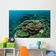 Healthy Reef-building Corals Thrive Wall Decal Design 4