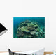 Healthy Reef-building Corals Thrive Wall Decal Design 3