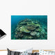 Healthy Reef-building Corals Thrive Wall Decal Design 3