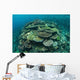 Healthy Reef-building Corals Thrive Wall Decal Design 3