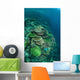 Healthy Reef-building Corals Thrive Wall Decal Design 2