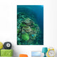Healthy Reef-building Corals Thrive Wall Decal Design 2