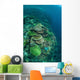 Healthy Reef-building Corals Thrive Wall Decal Design 2