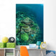 Healthy Reef-building Corals Thrive Wall Decal Design 2
