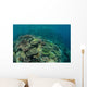 Healthy Reef-building Corals Thrive Wall Decal Design 1