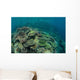 Healthy Reef-building Corals Thrive Wall Decal Design 1