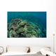 Healthy Reef-building Corals Thrive Wall Decal Design 1