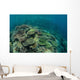 Healthy Reef-building Corals Thrive Wall Decal Design 1