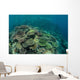 Healthy Reef-building Corals Thrive Wall Decal Design 1