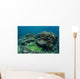 Healthy Coral Reef Thrives Wall Decal Design 3
