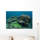 Healthy Coral Reef Thrives Wall Decal Design 3