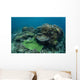 Healthy Coral Reef Thrives Wall Decal Design 3
