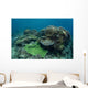 Healthy Coral Reef Thrives Wall Decal Design 3