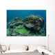 Healthy Coral Reef Thrives Wall Decal Design 3