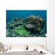 Healthy Coral Reef Thrives Wall Decal Design 3