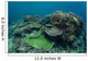 Healthy Coral Reef Thrives Wall Decal Design 3
