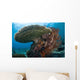Beautiful Coral Reef Thrives Wall Decal Design 3