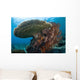 Beautiful Coral Reef Thrives Wall Decal Design 3