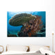 Beautiful Coral Reef Thrives Wall Decal Design 3