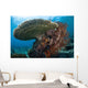 Beautiful Coral Reef Thrives Wall Decal Design 3