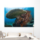 Beautiful Coral Reef Thrives Wall Decal Design 3