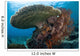 Beautiful Coral Reef Thrives Wall Decal Design 3