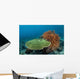 Beautiful Coral Reef Thrives Wall Decal Design 2