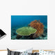 Beautiful Coral Reef Thrives Wall Decal Design 2