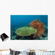Beautiful Coral Reef Thrives Wall Decal Design 2