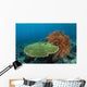 Beautiful Coral Reef Thrives Wall Decal Design 2