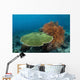 Beautiful Coral Reef Thrives Wall Decal Design 2