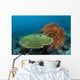 Beautiful Coral Reef Thrives Wall Decal Design 2