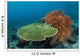 Beautiful Coral Reef Thrives Wall Decal Design 2