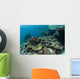 Healthy Coral Reef Thrives Wall Decal Design 2