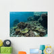 Healthy Coral Reef Thrives Wall Decal Design 2