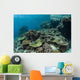 Healthy Coral Reef Thrives Wall Decal Design 2
