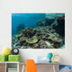 Healthy Coral Reef Thrives Wall Decal Design 2