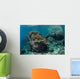 Healthy Coral Reef Thrives Wall Decal Design 1