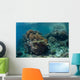 Healthy Coral Reef Thrives Wall Decal Design 1