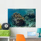 Healthy Coral Reef Thrives Wall Decal Design 1