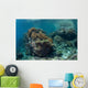 Healthy Coral Reef Thrives Wall Decal Design 1