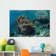 Healthy Coral Reef Thrives Wall Decal Design 1