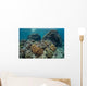 Beautiful Coral Reef Thrives Wall Decal Design 1