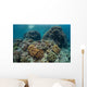 Beautiful Coral Reef Thrives Wall Decal Design 1