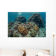 Beautiful Coral Reef Thrives Wall Decal Design 1